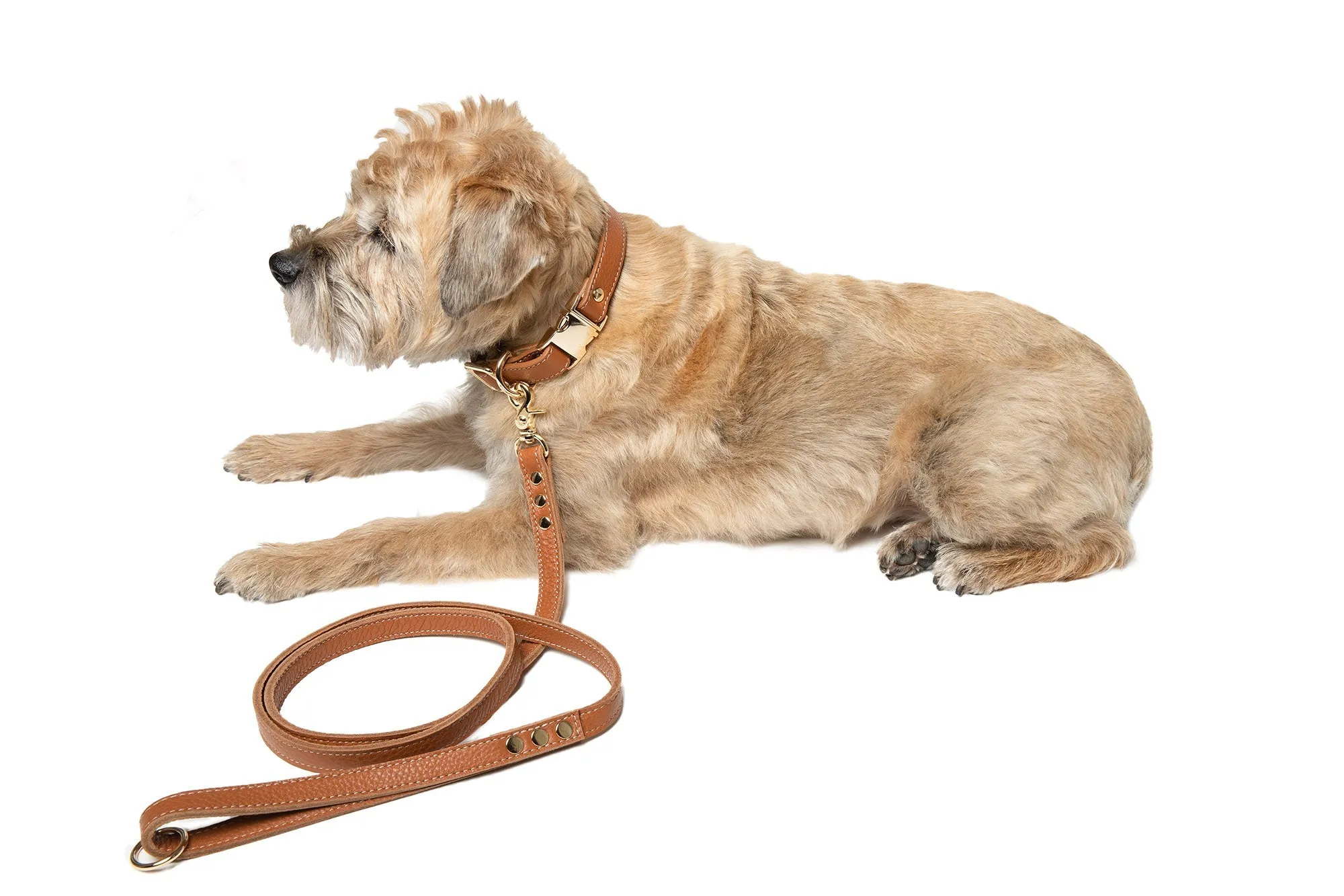 Canine Styles Fine Leather 4-Foot Leads - 2 Color Options