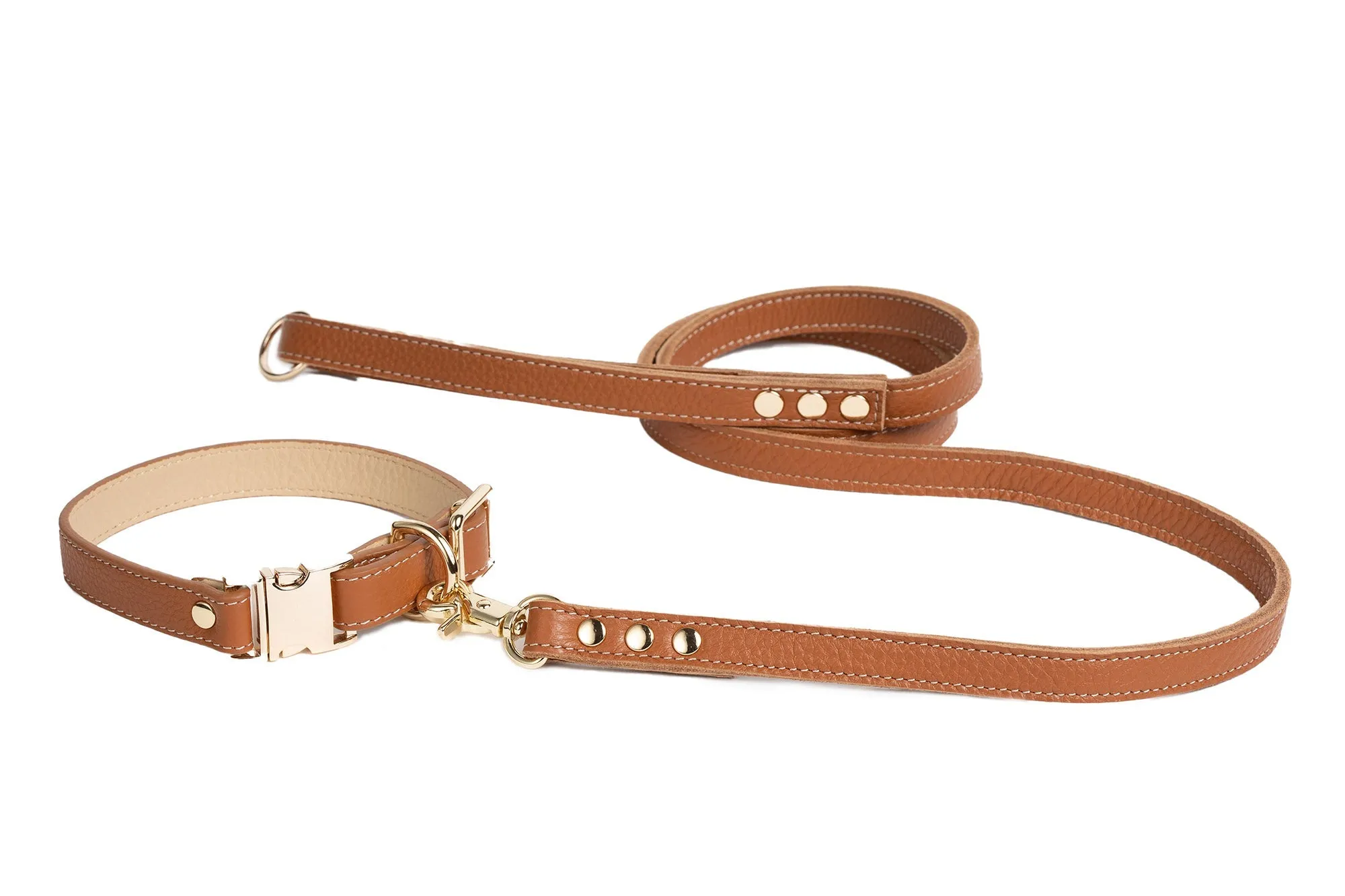 Canine Styles Fine Leather 4-Foot Leads - 2 Color Options