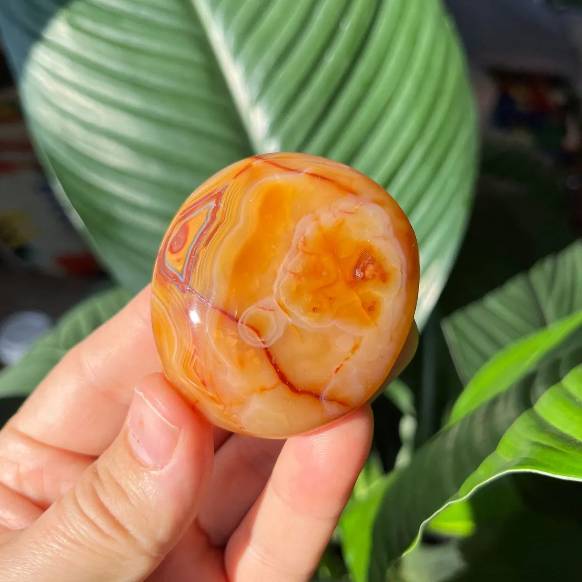 Carnelian Gallets - Polished Palm Stones