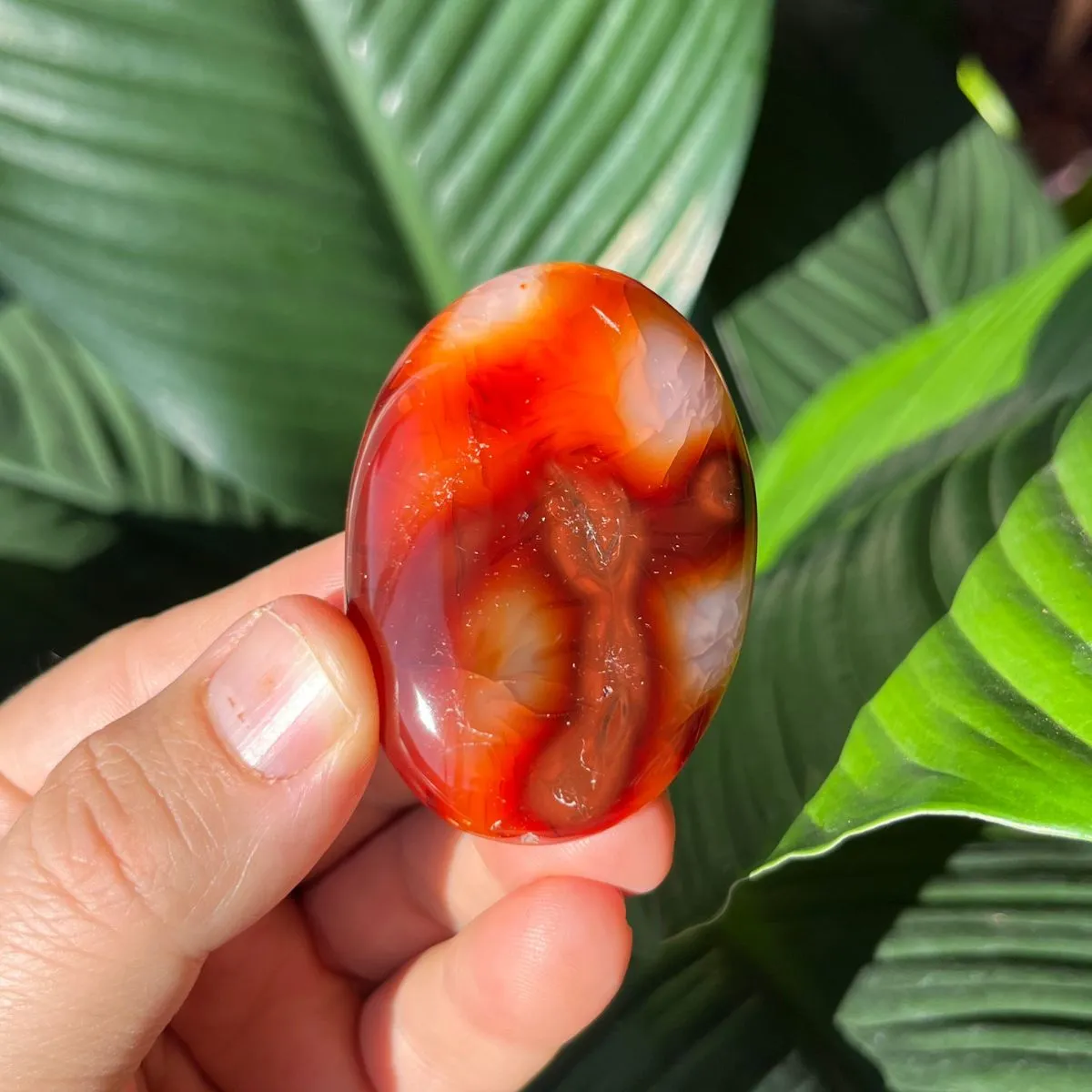 Carnelian Gallets - Polished Palm Stones