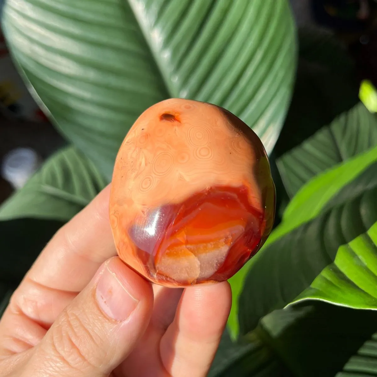 Carnelian Gallets - Polished Palm Stones