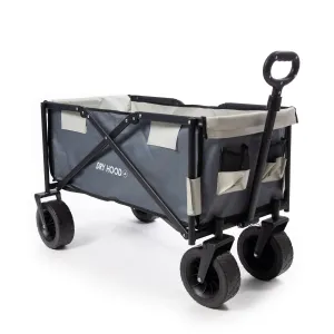 Carrito de Playa Discovery Gris