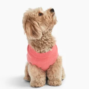 Cashmere Dog Sweater