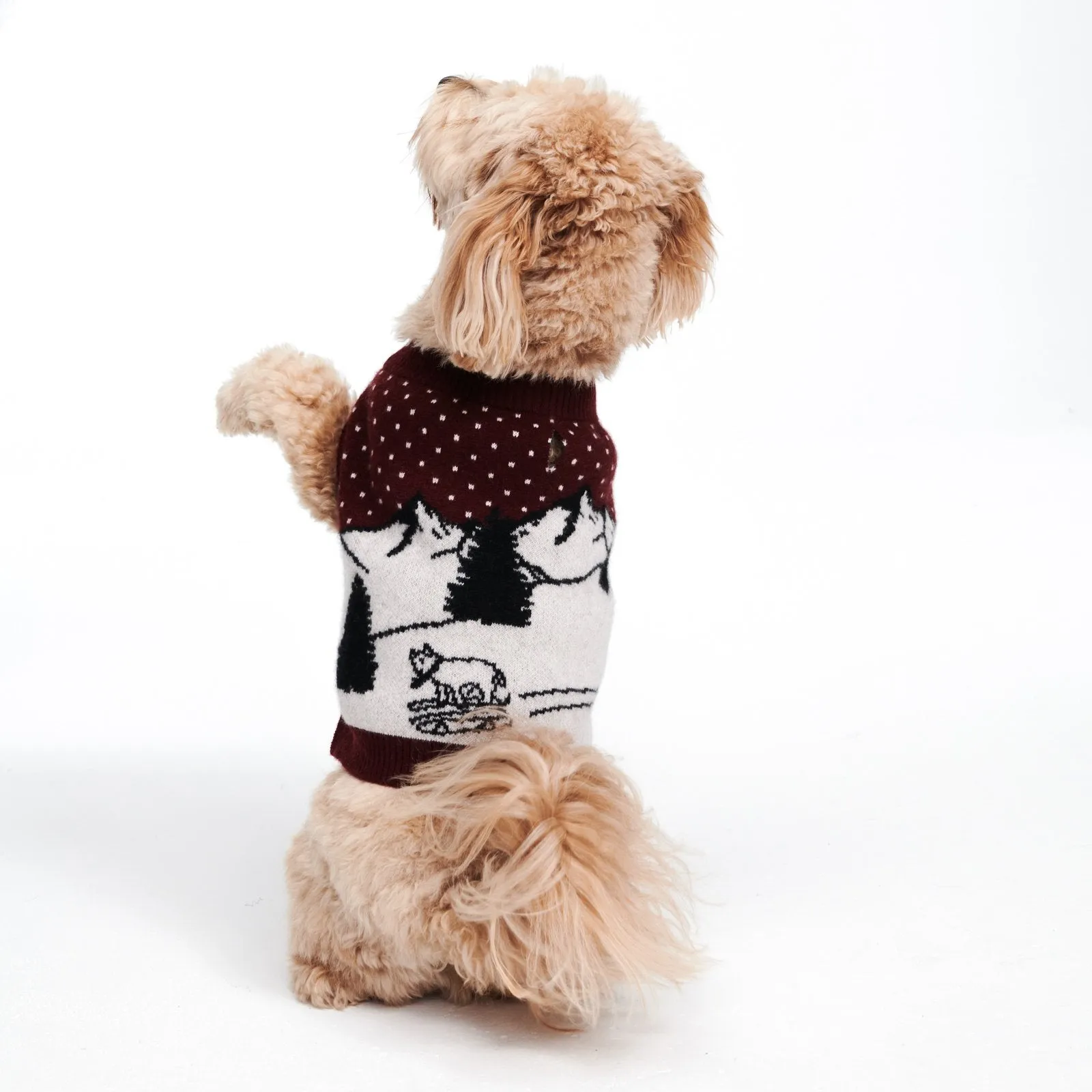 Cashmere Sledding Goat Dog Sweater