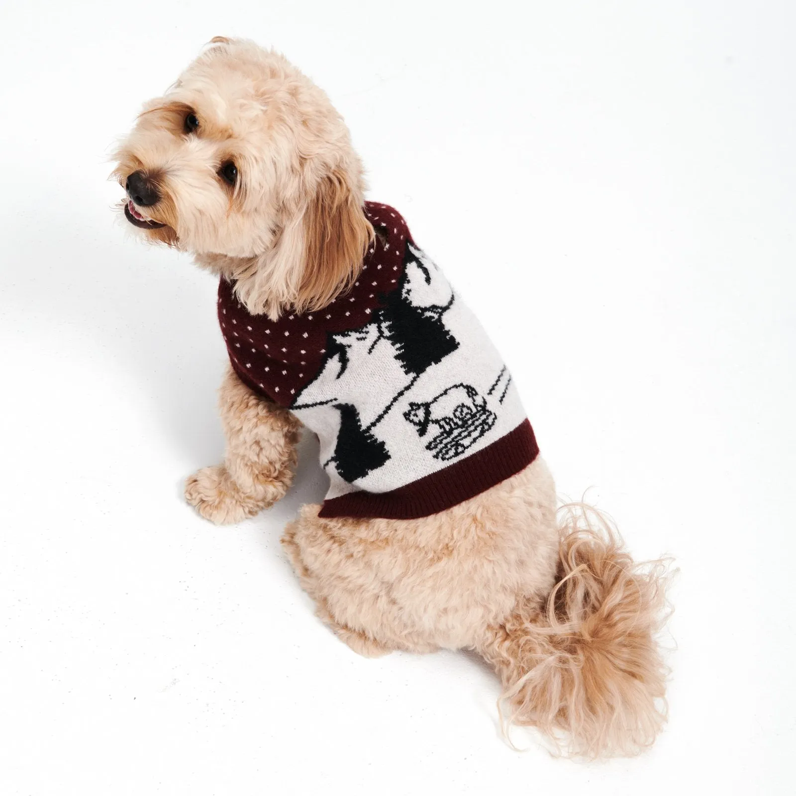 Cashmere Sledding Goat Dog Sweater