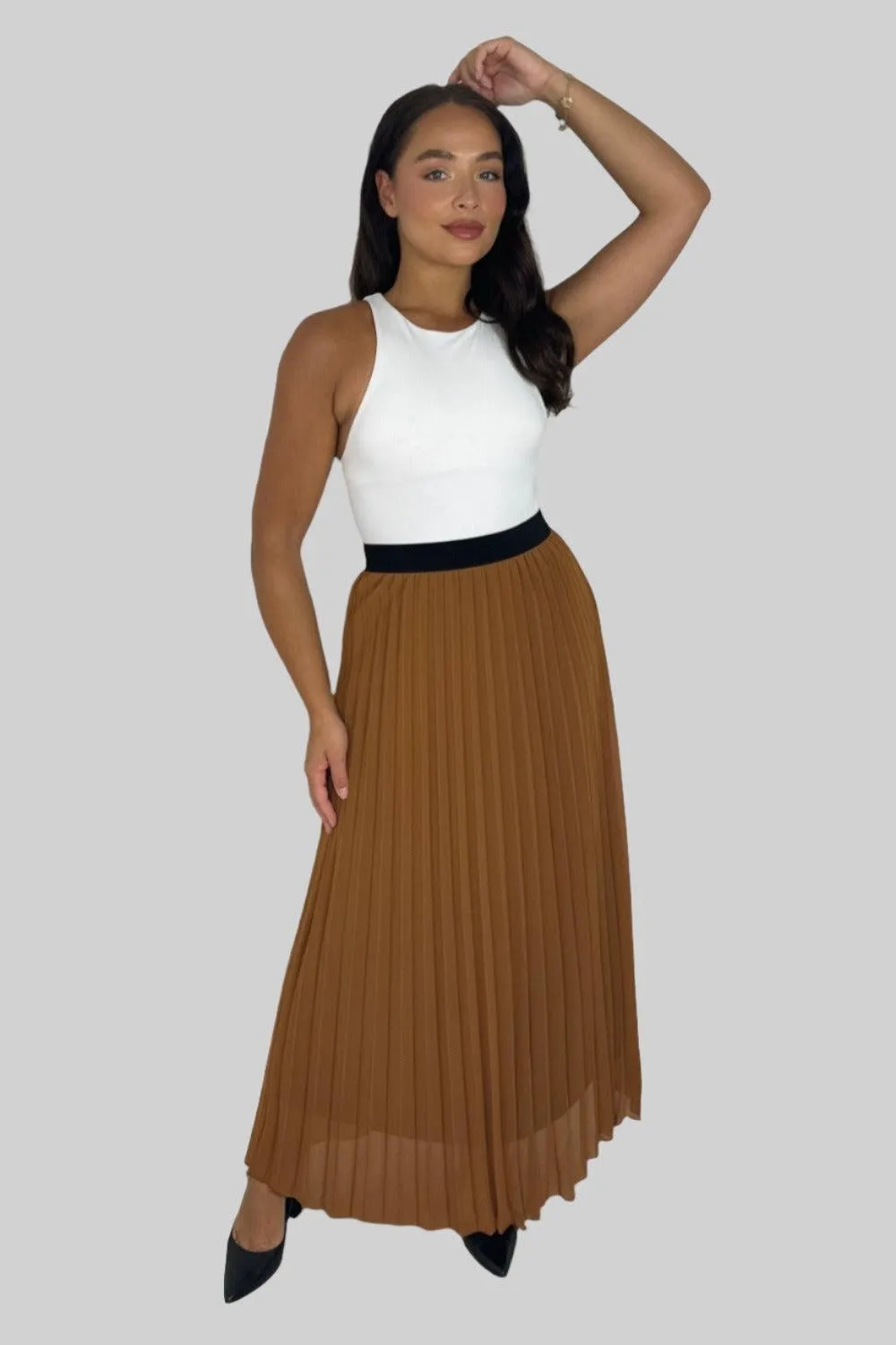 Casual Elasticated High Waist Pleated Chiffon Maxi Skirt