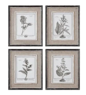 Casual Grey Study Framed Art Set/4