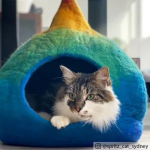 Cat Cave - Rainbow Teardrop