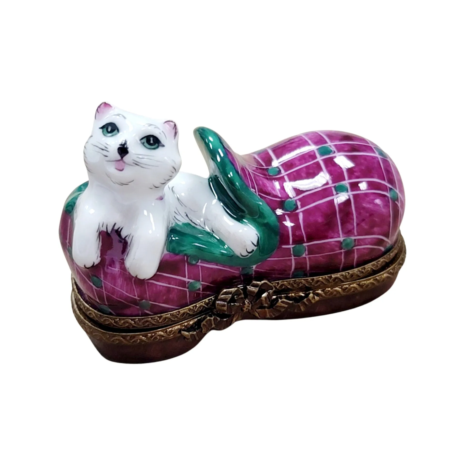 Cat in Slipper