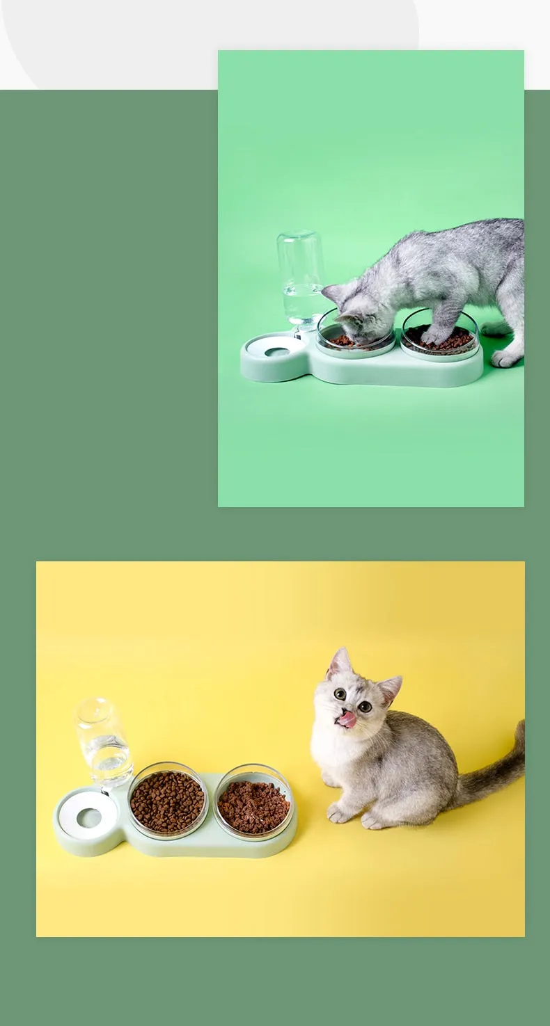 Cat or Dog Food Dish with Water Bottle (3 piece set)