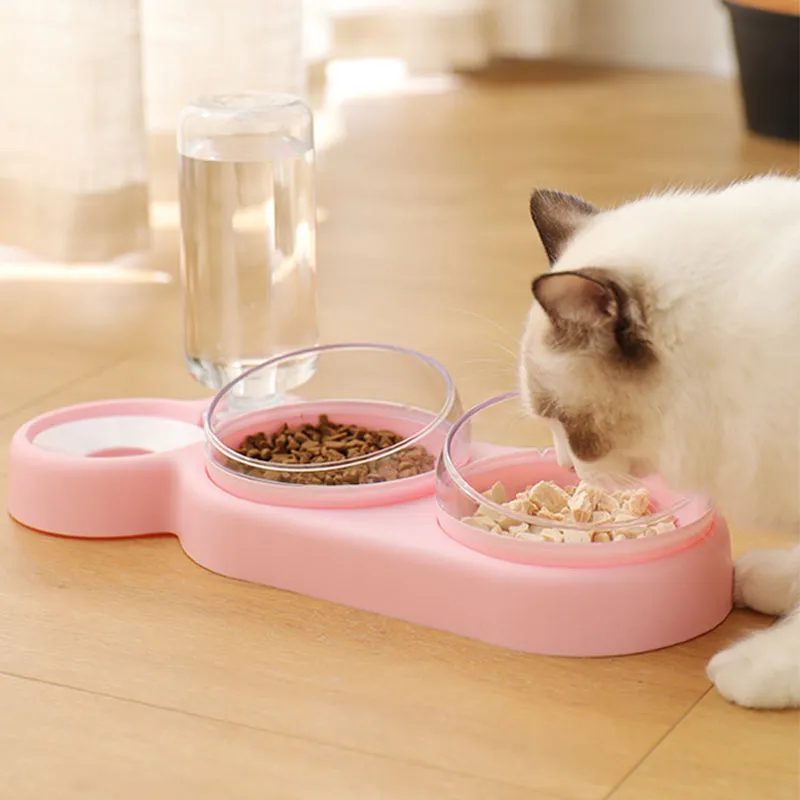 Cat or Dog Food Dish with Water Bottle (3 piece set)