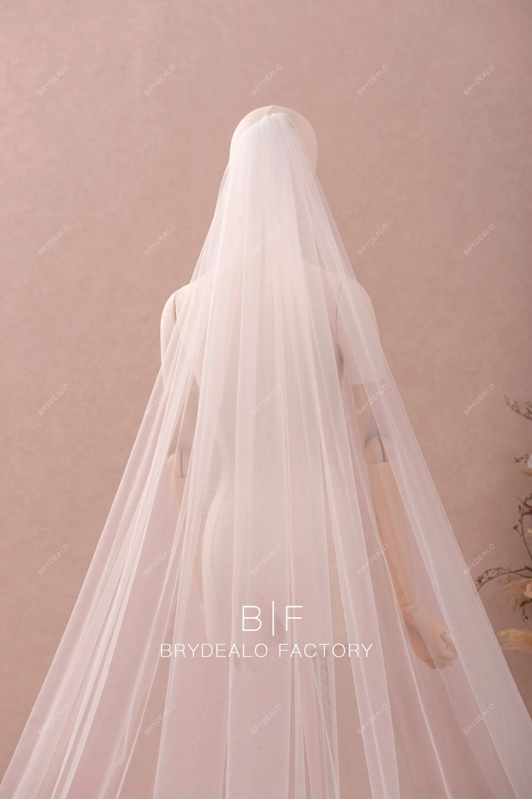 Cathedral Length Tulle Veil with Elegant Lace Edging