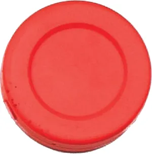 Champion Sports Safe Soft Hockey Puck