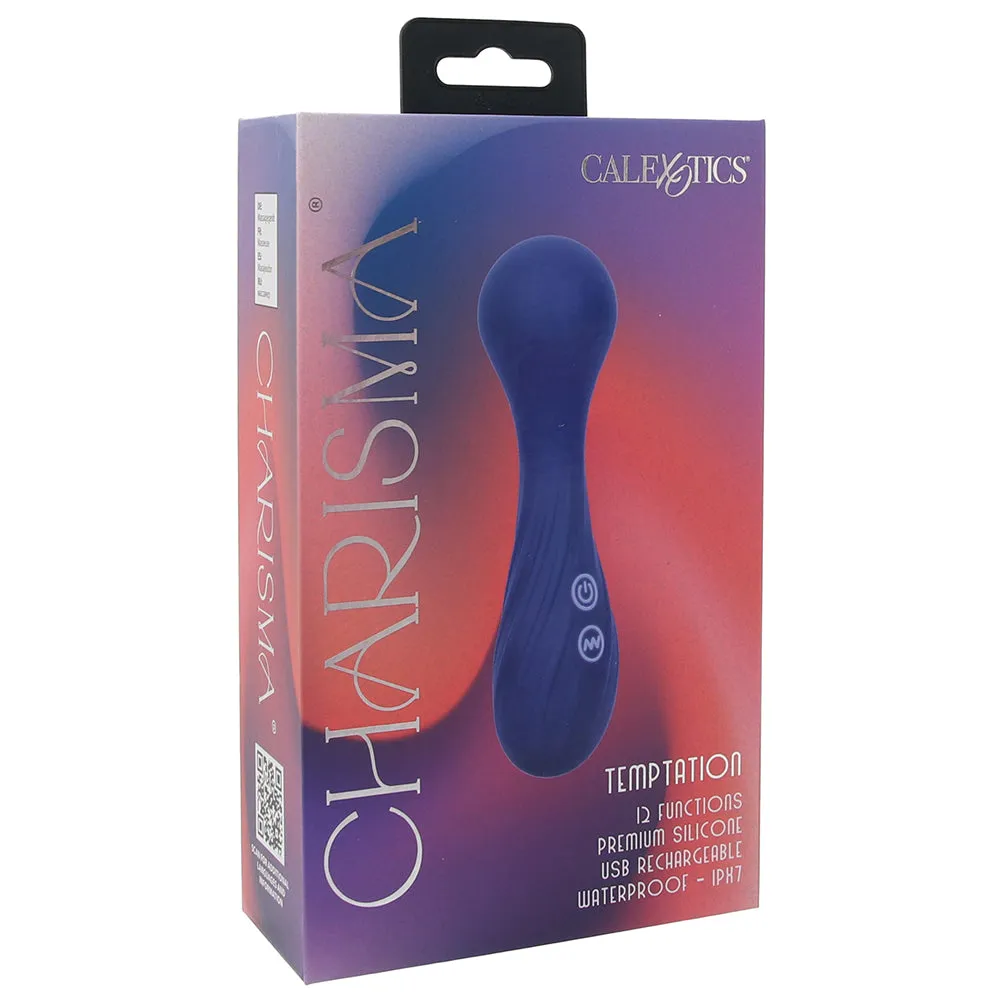 Charisma Temptation Massager Vibe