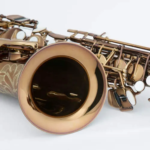 Chateau Chambord CAS-50C Alto Saxophone - Cognac