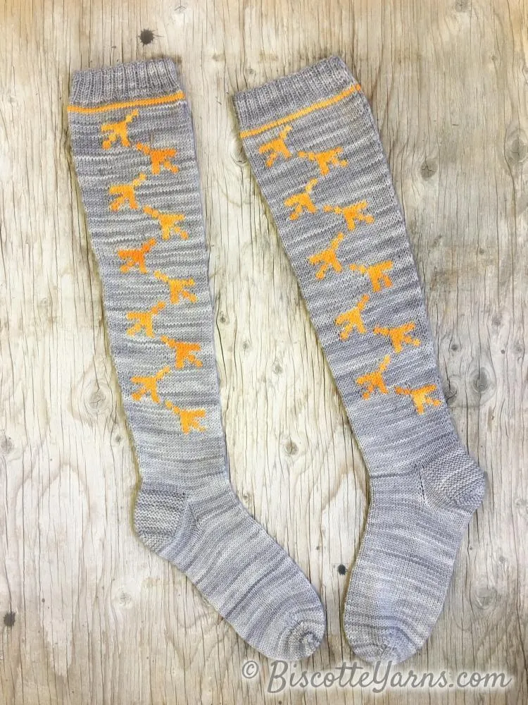 Chicken Dance Socks Pattern