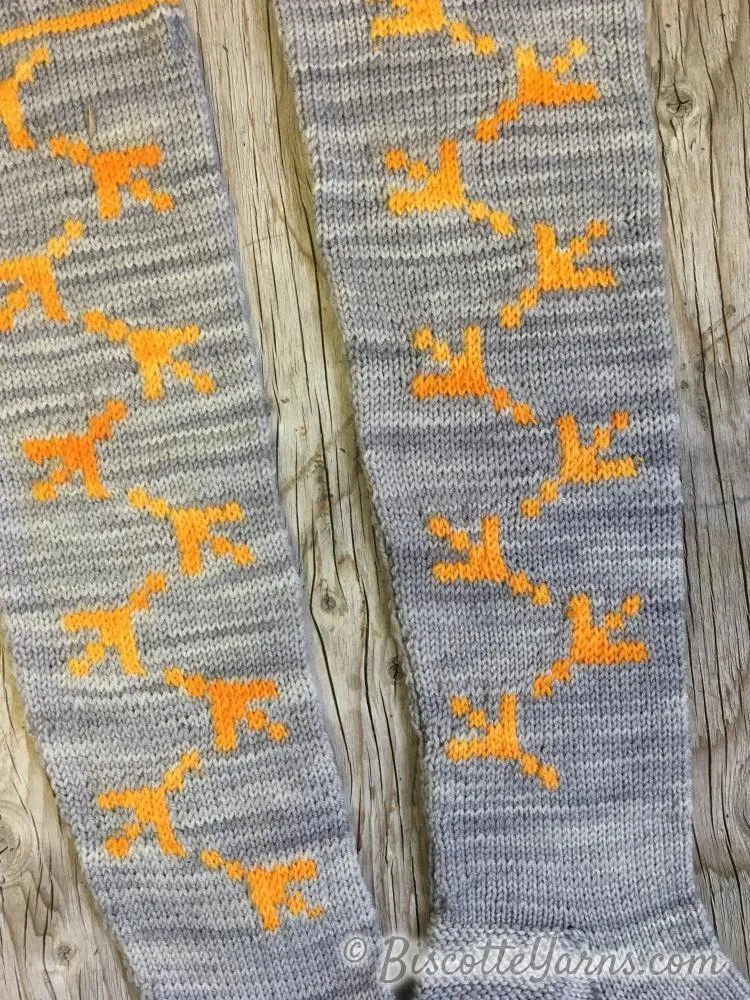 Chicken Dance Socks Pattern