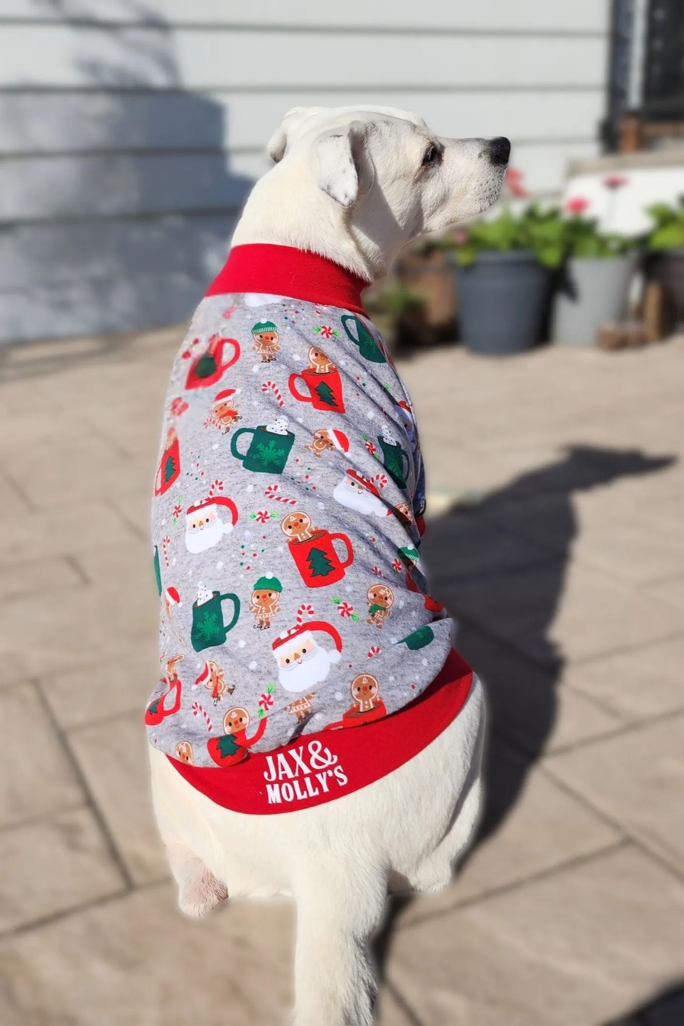 Christmas Mug Dog Pajamas