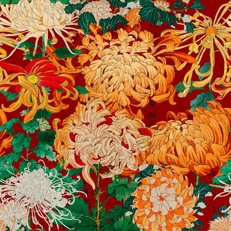 Chrysanthemums Wallpaper