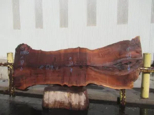 Claro Walnut Live Edge #14986