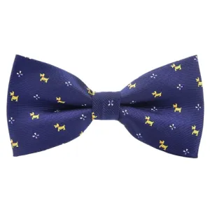 Classy Men Blue Fancy Bow Tie