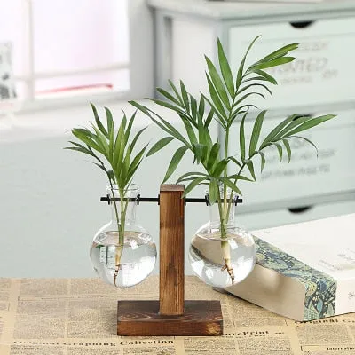 Clear Hydroponic Plant Vases