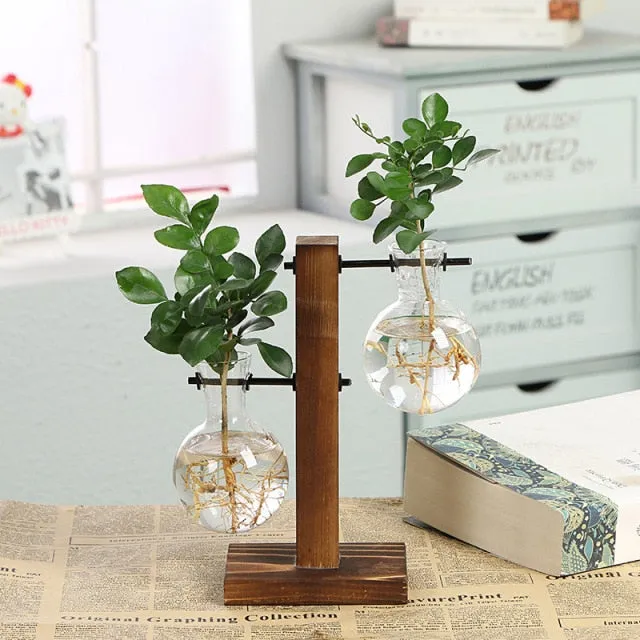 Clear Hydroponic Plant Vases