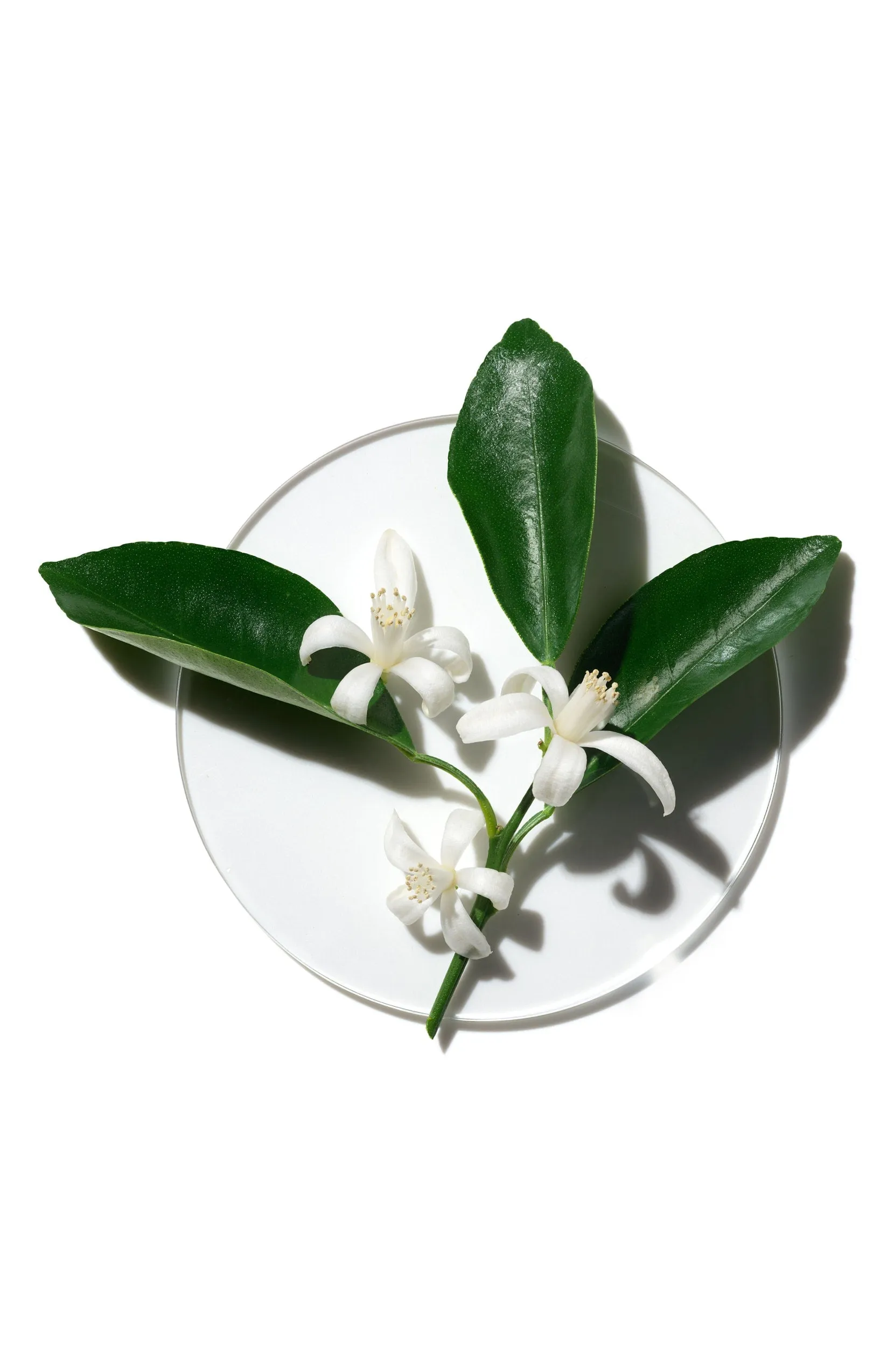 Clinique My Happy Blue Sky Neroli