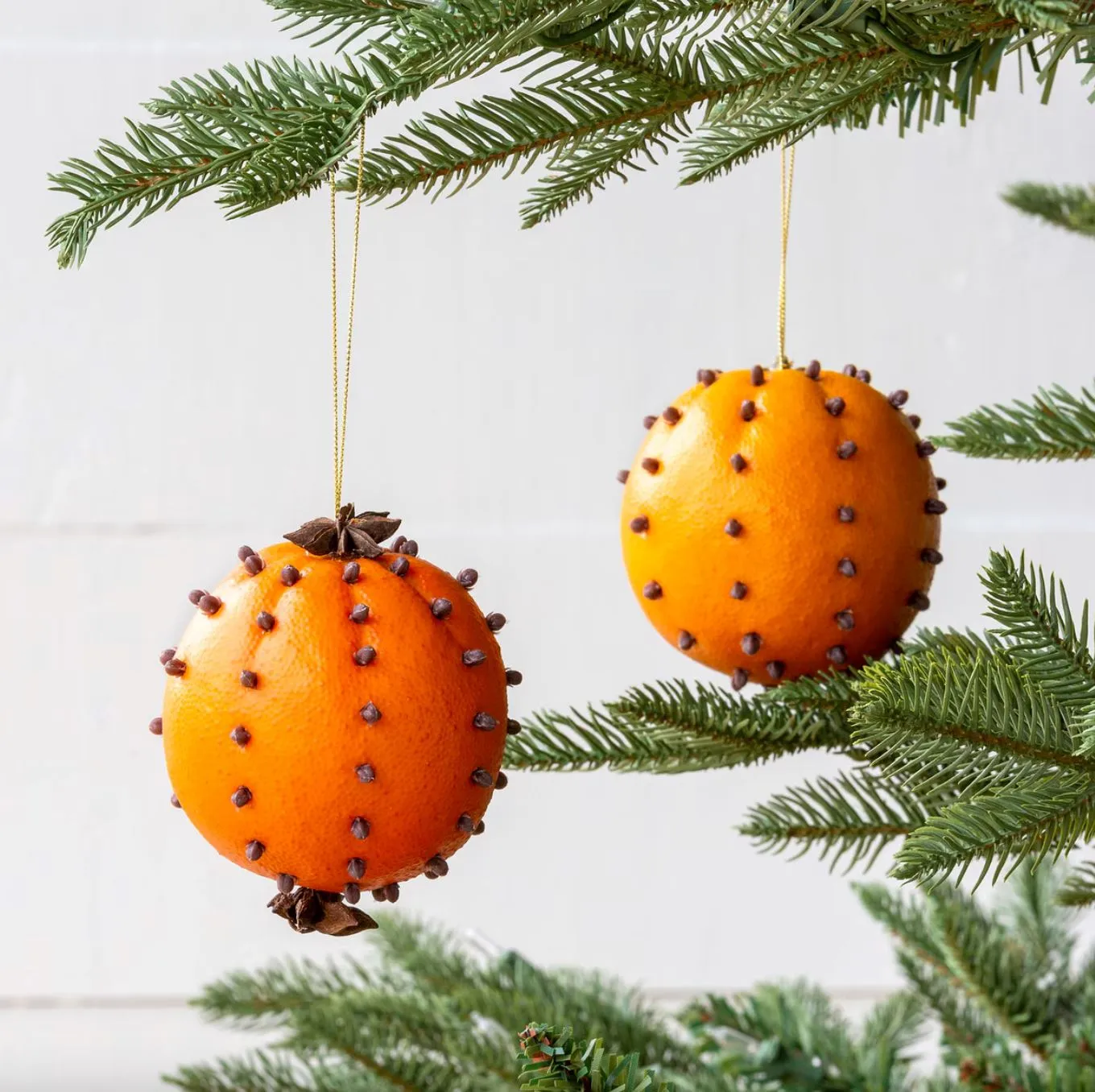 Cloved Orange Ornaments