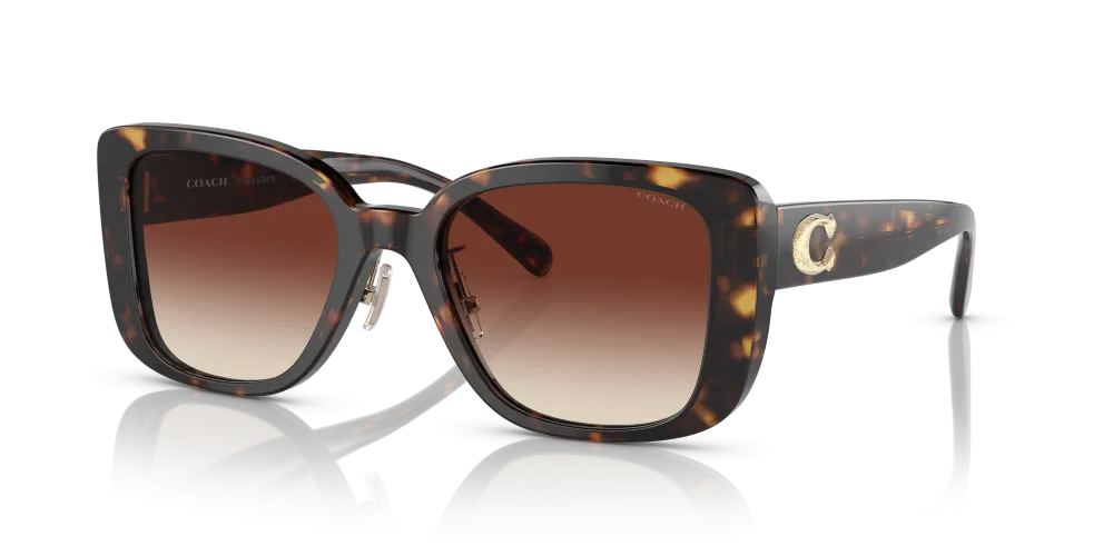 Coach Square Non-Polarized Sunglasses - Dark Tortoise/Dark Brown Mirror