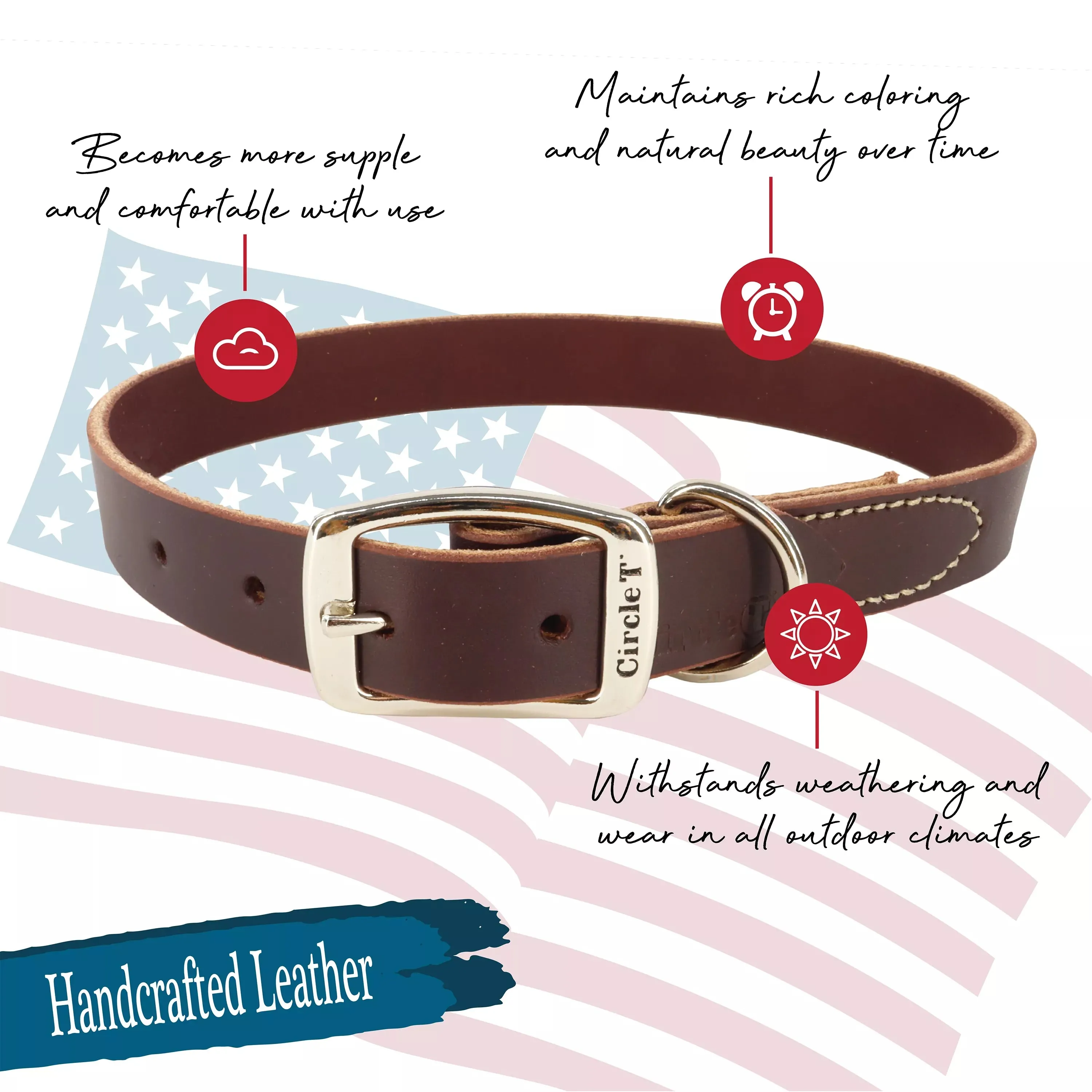 Coastal Pet Products Circle T Latigo Leather Town Dog Collar