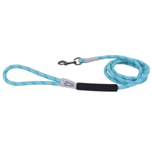 Coastal Pet Products K9 Explorer Brights Reflective Braided Rope Snap Leash in Ocean