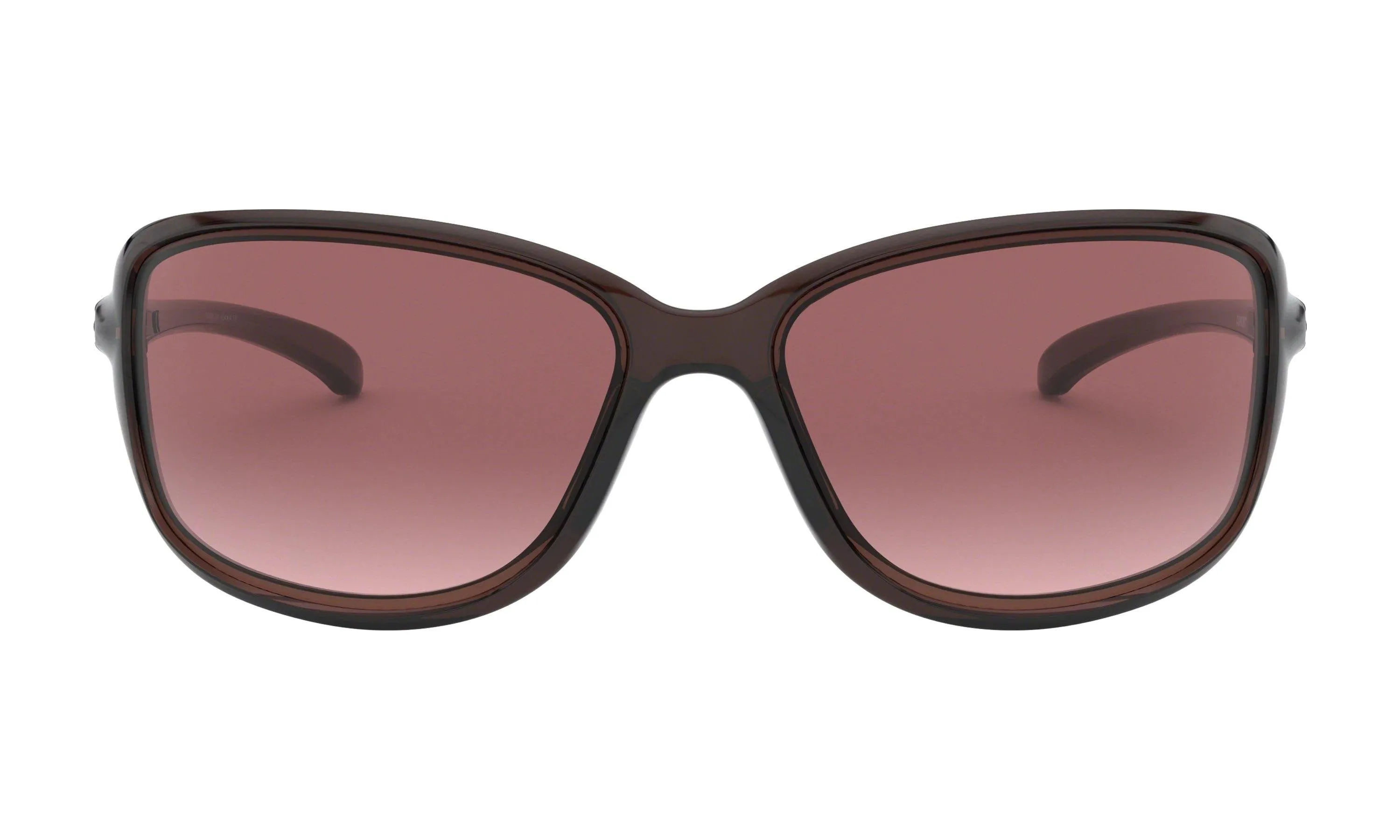 Cohort Sunglasses