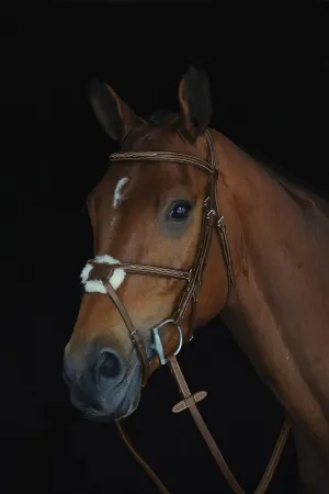 Collegiate Mono Crown Figure 8 Bridle, Brown