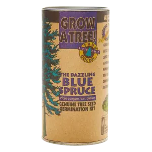 Colorado Blue Spruce Seed Kit