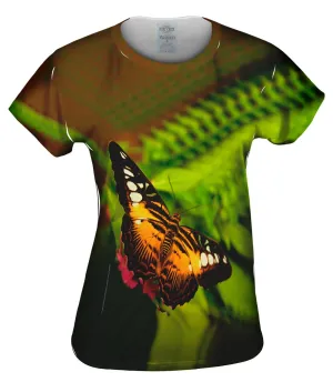 Colorful Dark Orange Butterfly