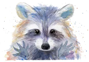 Colorful Raccoon