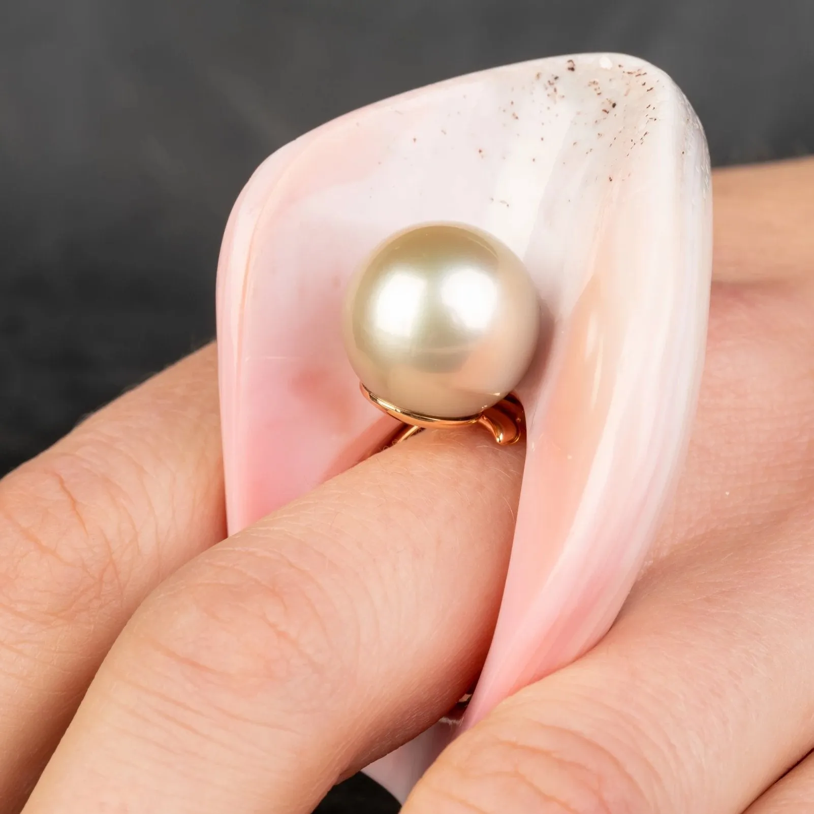 Conch Shell Ring