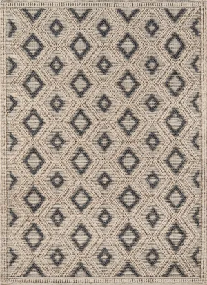 Contemporary Hand Woven Beige Rug