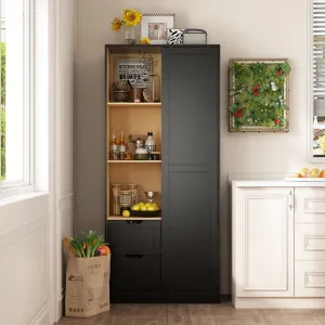 Contemporary/Modern Black Pantry with Wine Storage