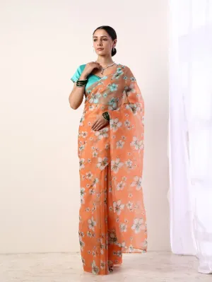 Coral Printed Organza Saree With Teal Blouse (Set of 2)