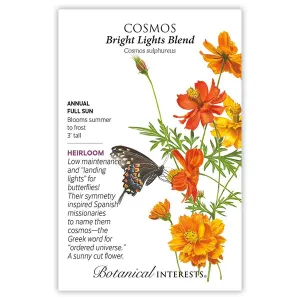 Cosmos Bright Lights Blend Seed Pkt