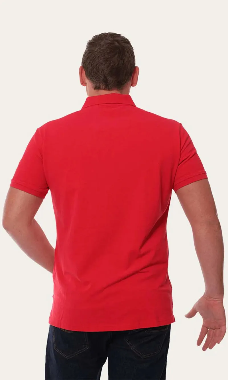 Cotton Classic Men's Polo, More Colours