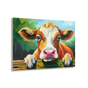 Cow Acrylic Prints