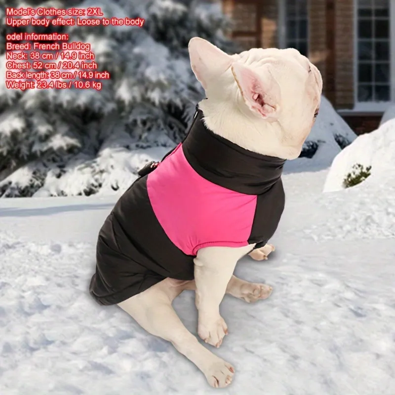 Cozy Winter Dog Vest with D Ring for Walks