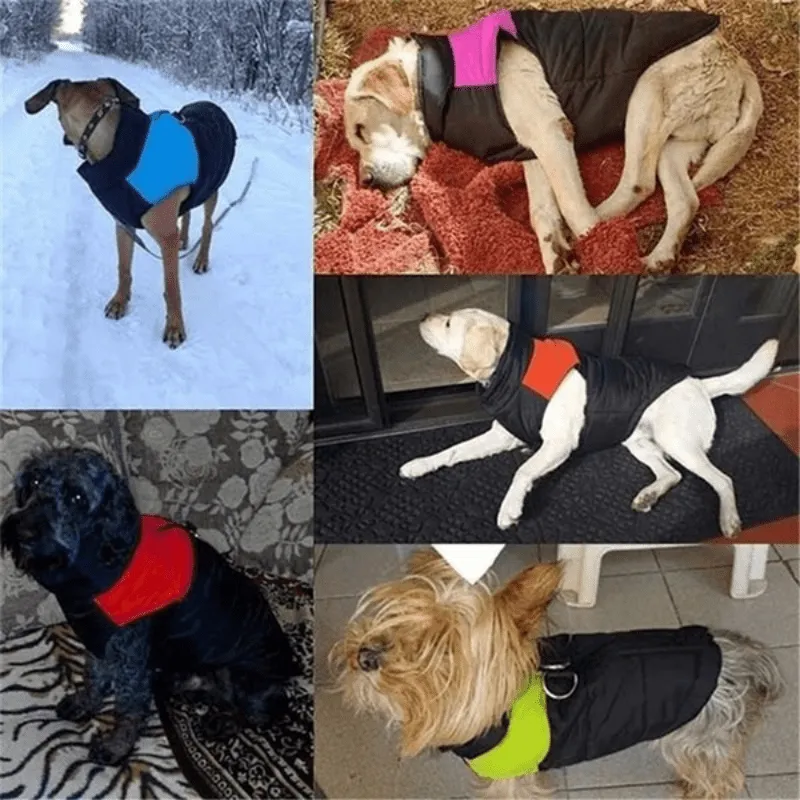 Cozy Winter Dog Vest with D Ring for Walks