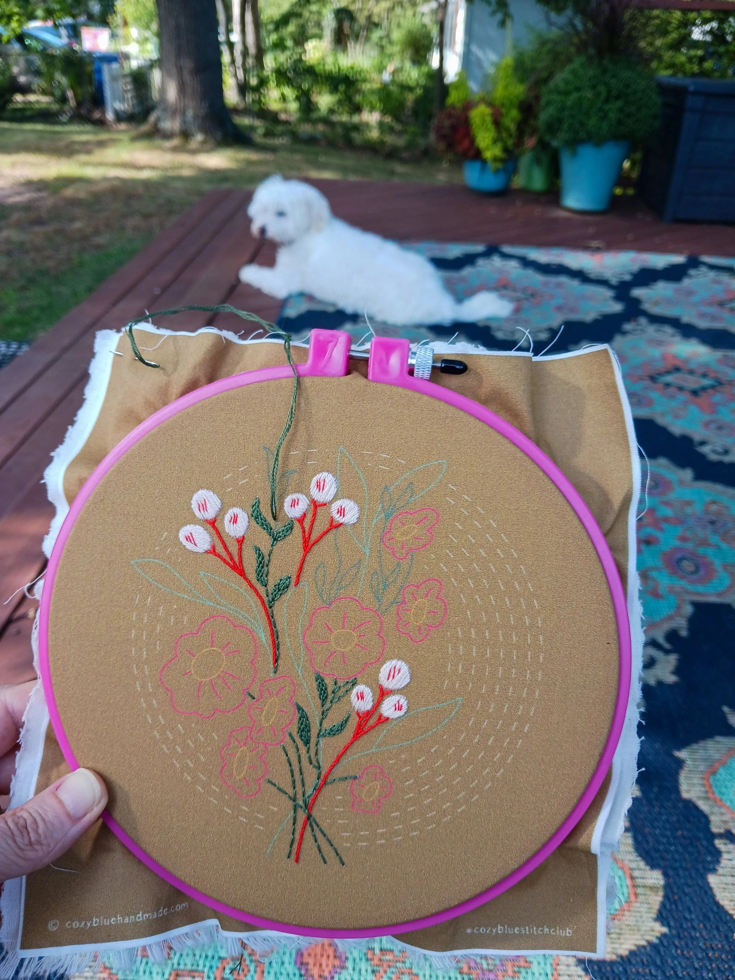 Cozyblue DIY Embroidery Kit - Morning Glow