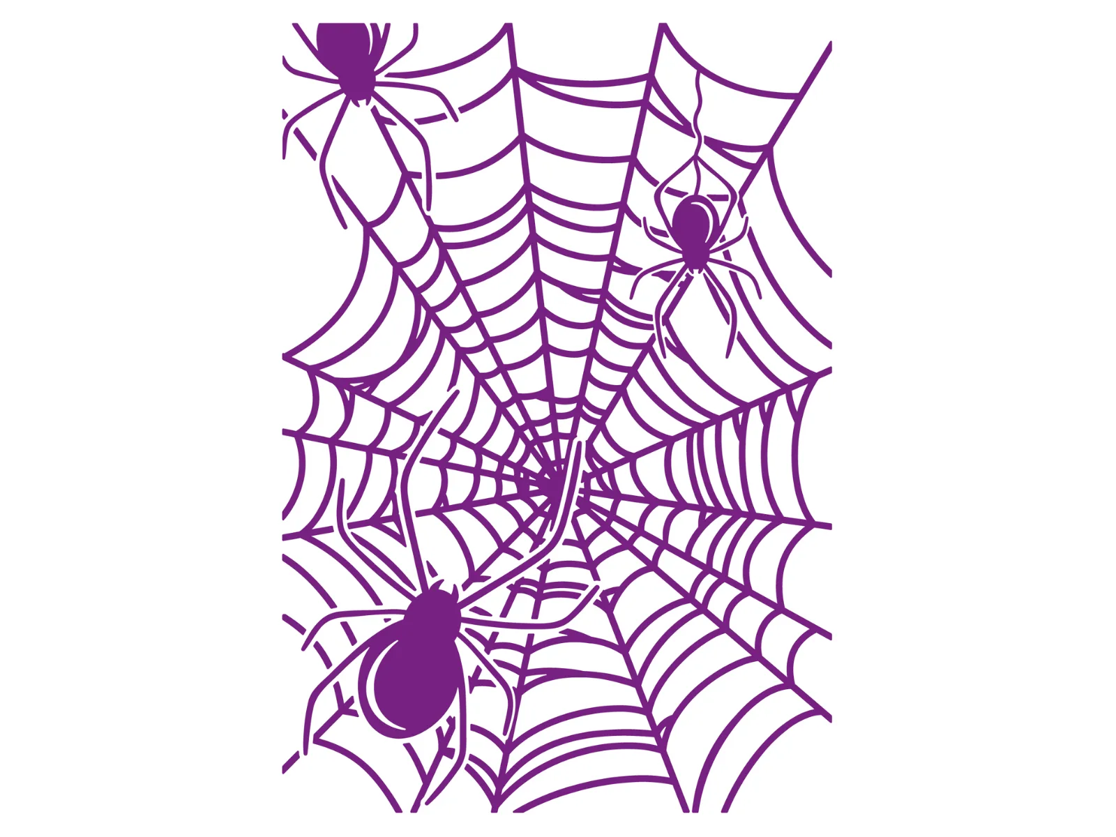 Crafter's Companion 5" x 7" Embossing Folder - Spider's Web