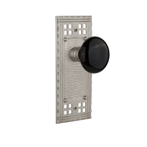 Craftsman Long Plate with Black Porcelain Knob in Satin Nickel