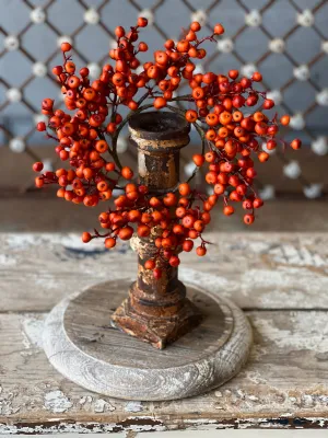 Cranberries Candle Ring | Orange | 3.5" Inner *